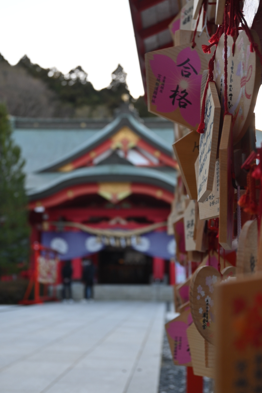 Sendai (und ein bisschen Wien?) (6.)