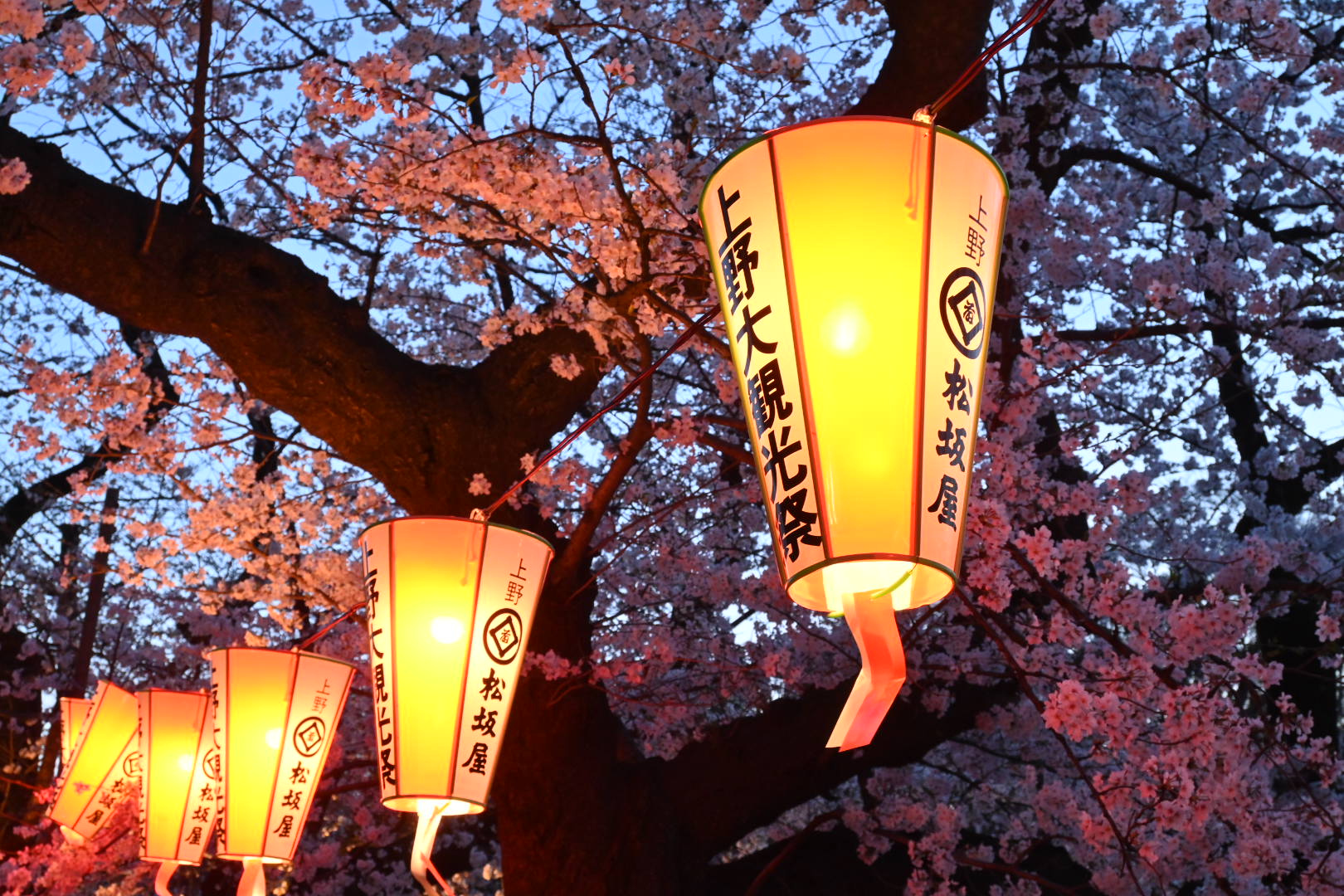 Blühendes und verdorrtes Tokyo (9.)