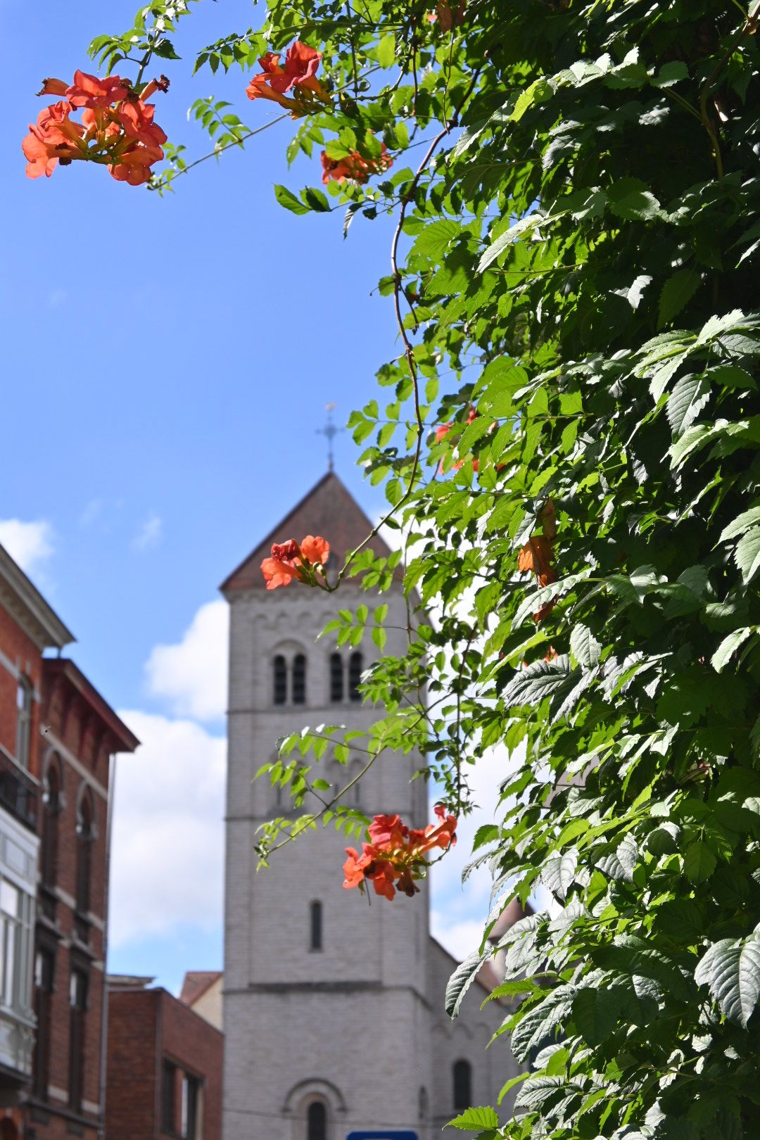 Day 4: Knus(nl)/Gemütlich(aut) Gent