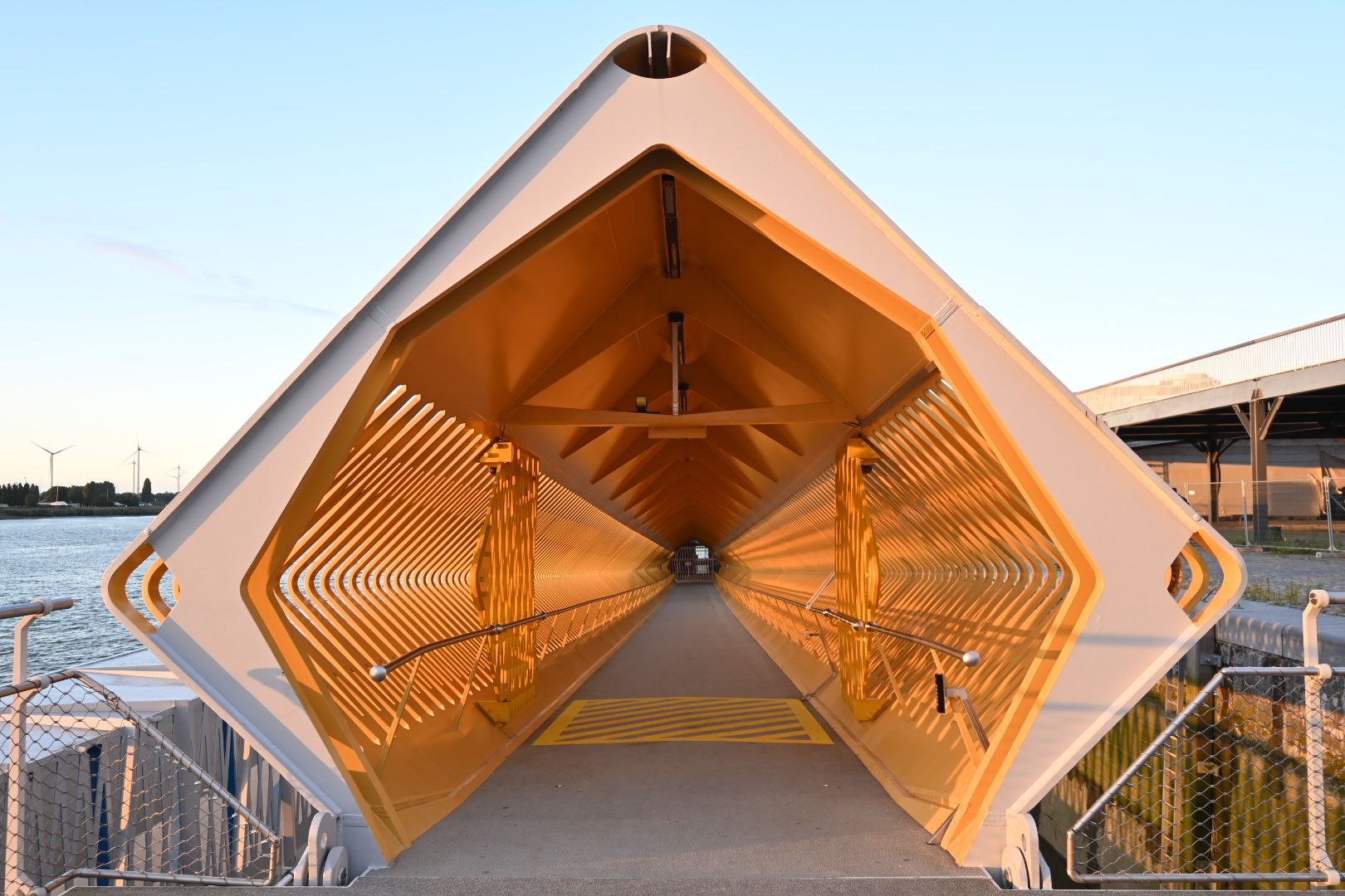 Day 9: Chillen und Rollen in 🐜wer🖋️