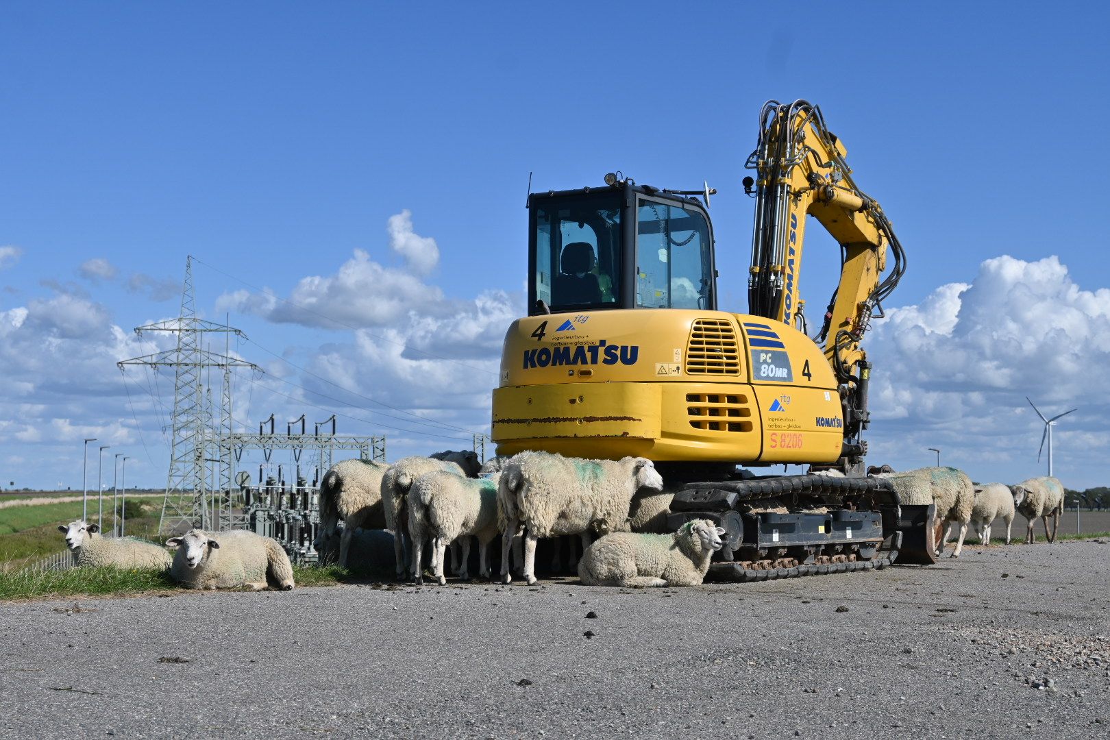 4. Tag: Watt und Wolle