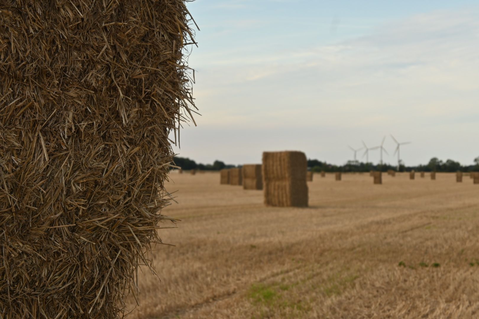 7. Tag: Entdeckungsfahrt