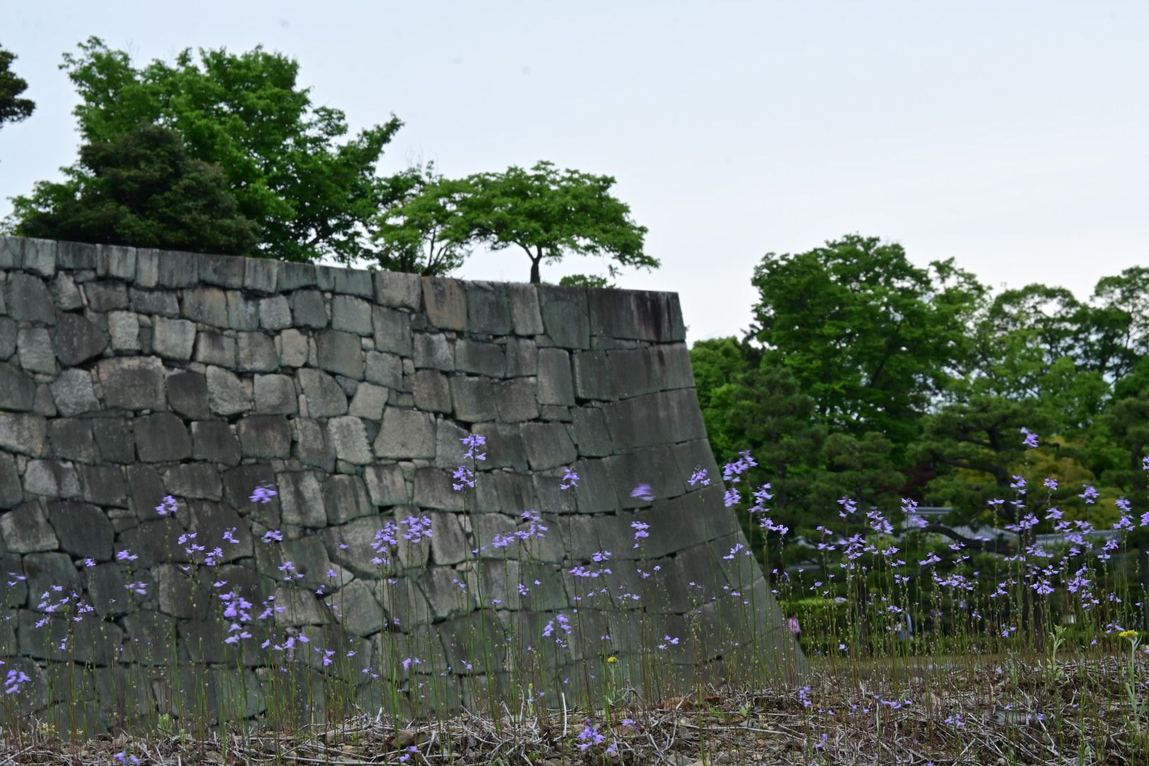 5. Tag: Kaiserliches Kyoto