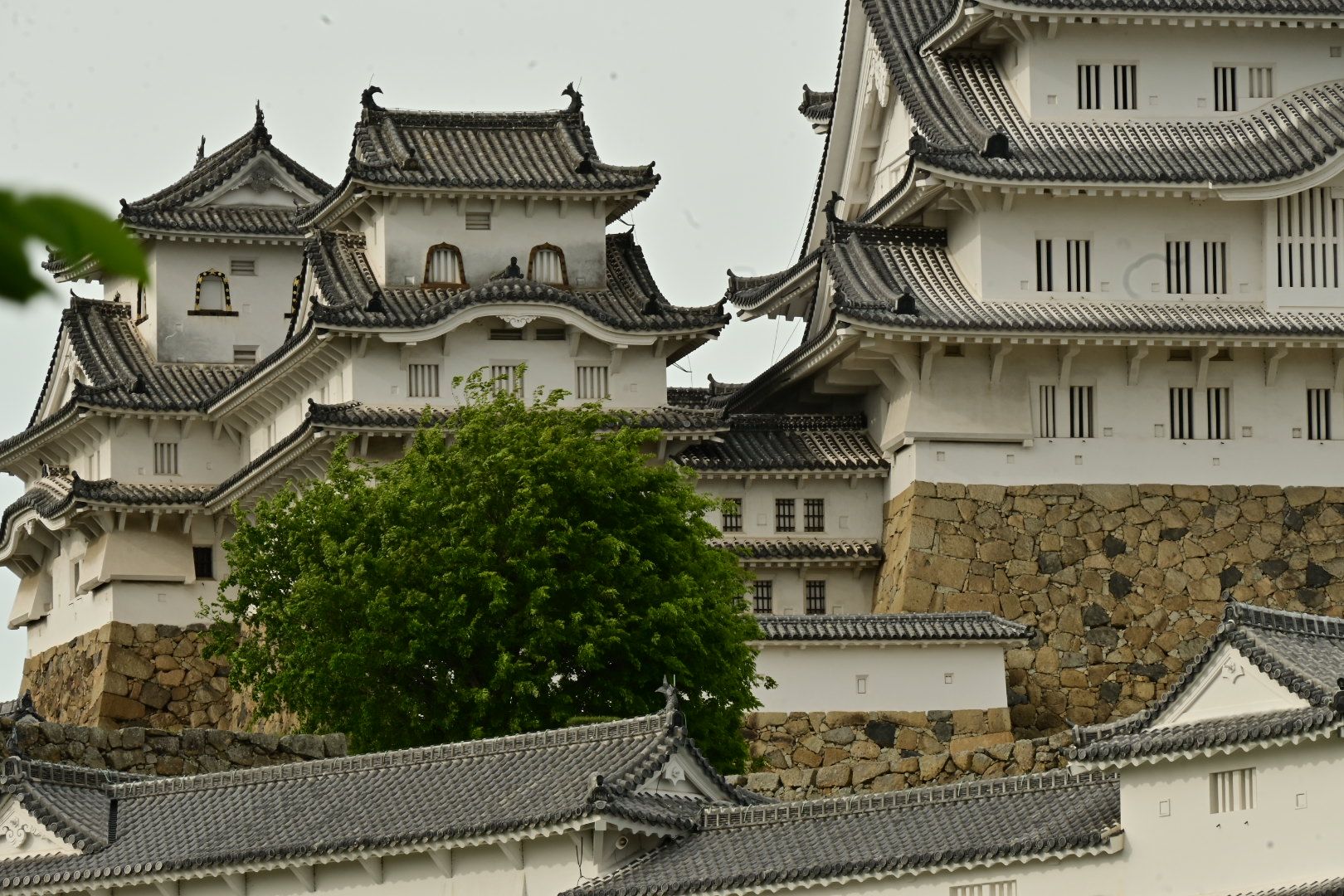 10. Tag: Windy Himeji