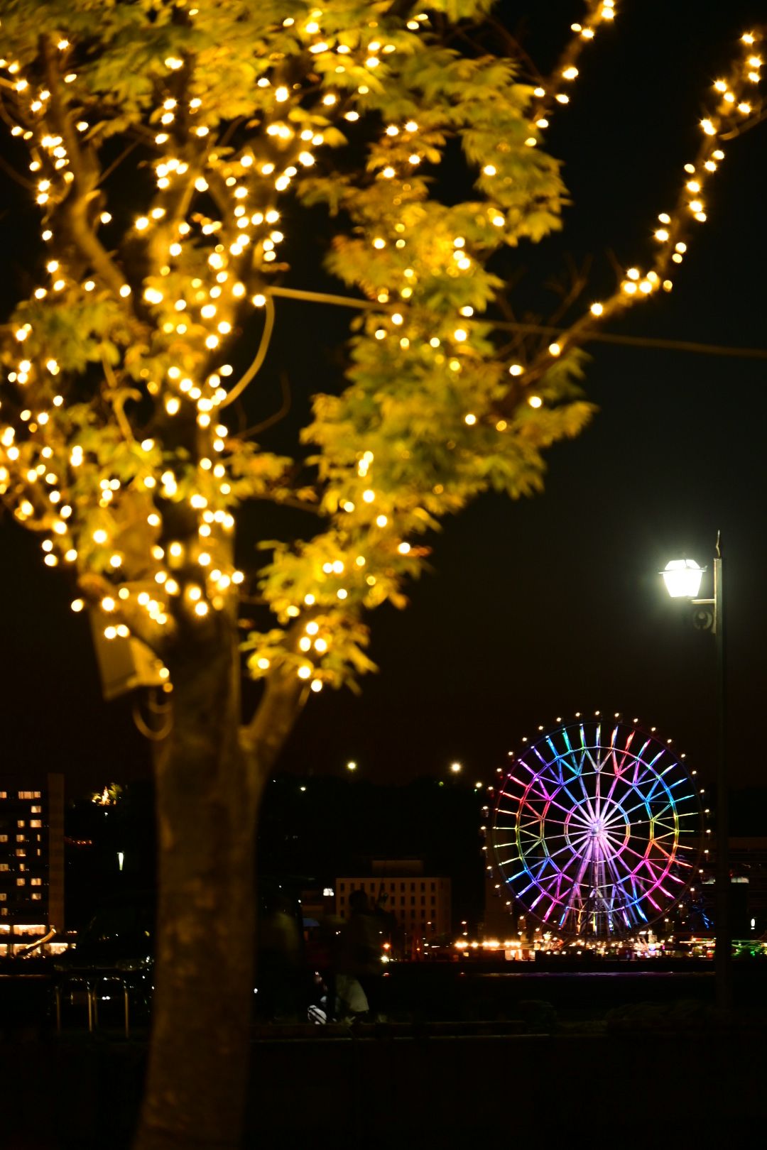 15. Tag: Japan Western Style